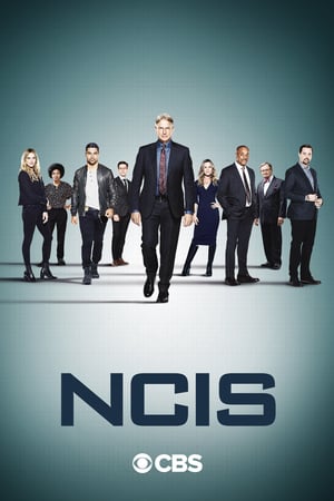 NCIS – Unità anticrimine: 18 Stagione