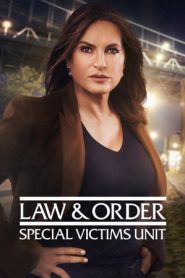 Law & Order – Unità vittime speciali: 22 Stagione