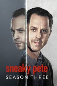 Sneaky Pete: 3 Stagione