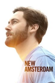 New Amsterdam: 3 Stagione