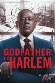 Godfather of Harlem: 2 Stagione