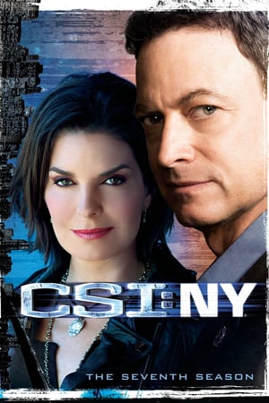 CSI: NY: 7 Stagione