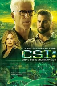 CSI – Scena del crimine: 14 Stagione