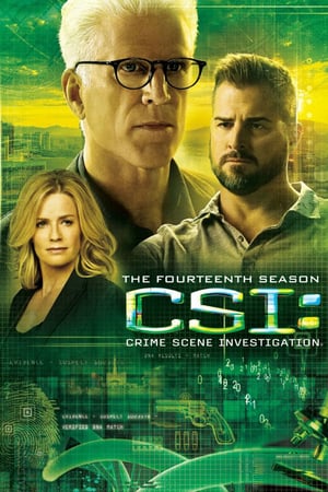 CSI – Scena del crimine: 14 Stagione