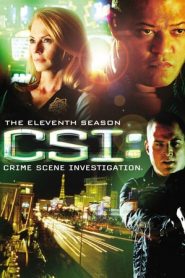 CSI – Scena del crimine: 11 Stagione