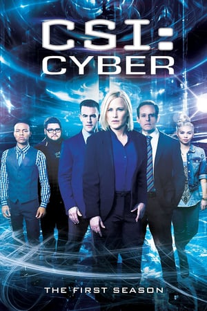 CSI: Cyber: 1 Stagione