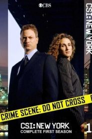 CSI: NY: 1 Stagione