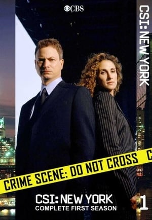 CSI: NY: 1 Stagione