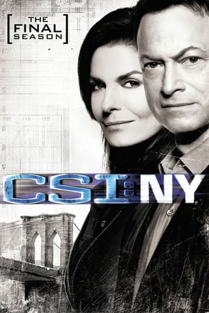 CSI: NY: 9 Stagione