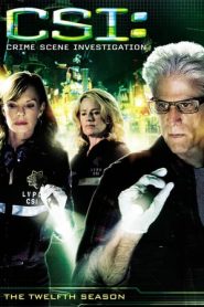 CSI – Scena del crimine: 12 Stagione