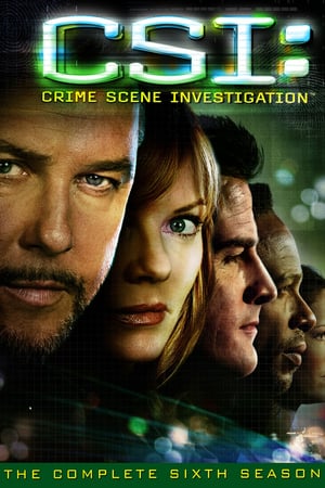 CSI – Scena del crimine: 6 Stagione