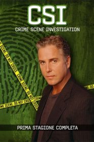 CSI – Scena del crimine: 1 Stagione