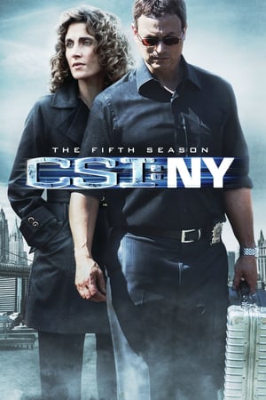 CSI: NY: 5 Stagione