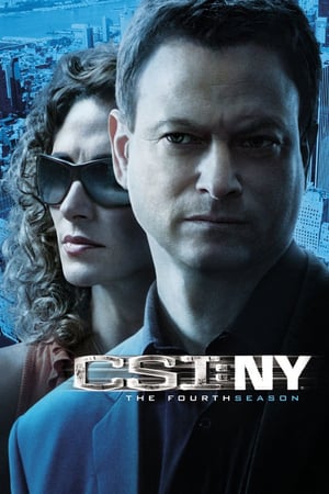 CSI: NY: 4 Stagione