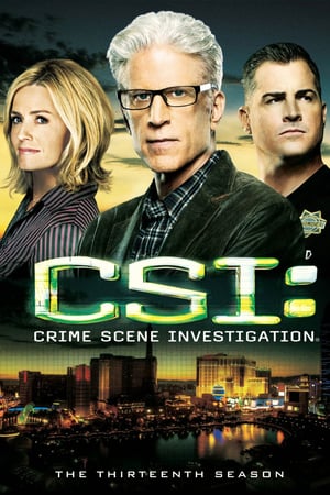 CSI – Scena del crimine: 13 Stagione