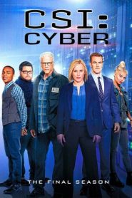 CSI: Cyber: 2 Stagione