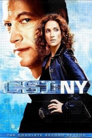 CSI: NY: 2 Stagione