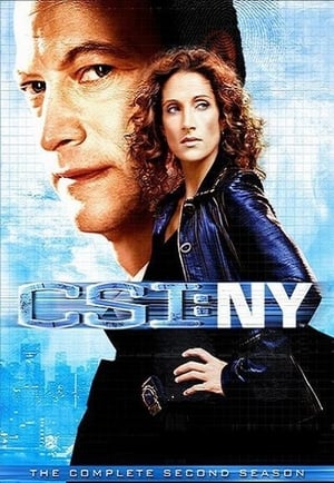 CSI: NY: 2 Stagione