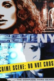 CSI: NY: 3 Stagione