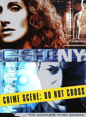 CSI: NY: 3 Stagione