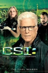 CSI – Scena del crimine: 15 Stagione