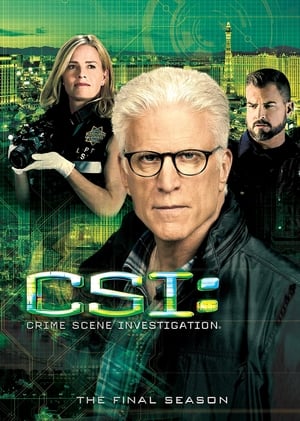 CSI – Scena del crimine: 15 Stagione