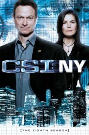 CSI: NY: 8 Stagione