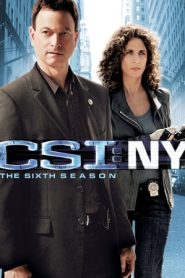 CSI: NY: 6 Stagione