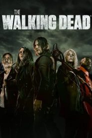 The Walking Dead: 11 Stagione