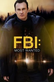 FBI: Most Wanted: 3 Stagione