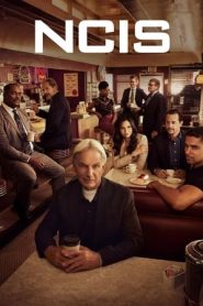 NCIS – Unità anticrimine: 19 Stagione