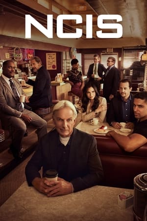 NCIS – Unità anticrimine: 19 Stagione