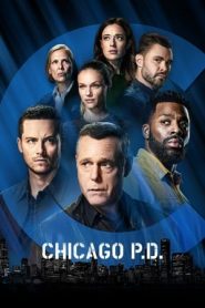 Chicago P.D.: 9 Stagione