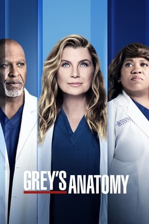 Grey’s Anatomy: 18 Stagione