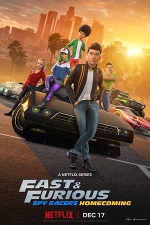 Fast & Furious: Piloti sotto copertura: 6 Stagione