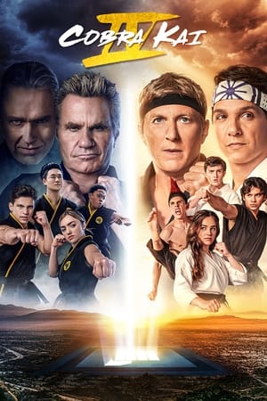 Cobra Kai: 4 Stagione