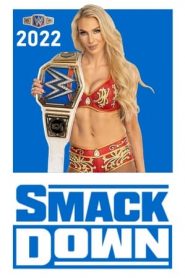 WWE SmackDown: 24 Stagione