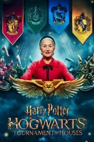 Harry Potter: Hogwarts Tournament of Houses: 1 Stagione