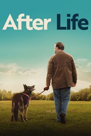 After Life: 3 Stagione