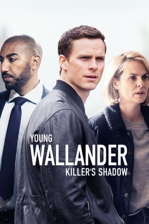 Il giovane Wallander: 2 Stagione