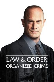 Law & Order: Organized Crime: 2 Stagione