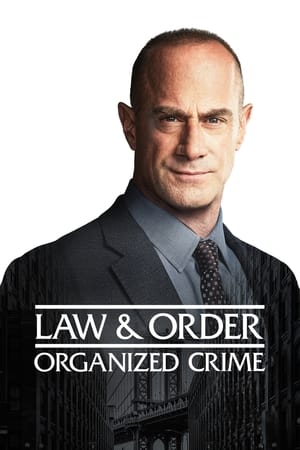 Law & Order: Organized Crime: 2 Stagione