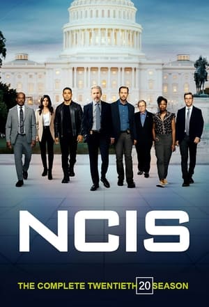 NCIS – Unità anticrimine: 20 Stagione