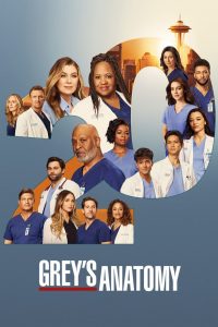 Grey’s Anatomy: 20 Stagione