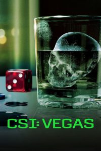 CSI: Vegas: 3 Stagione